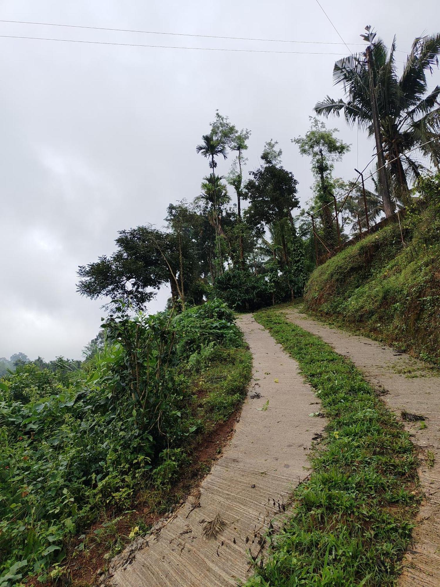 Shivalaya Homestay, Madikeri Siddāpur 外观 照片