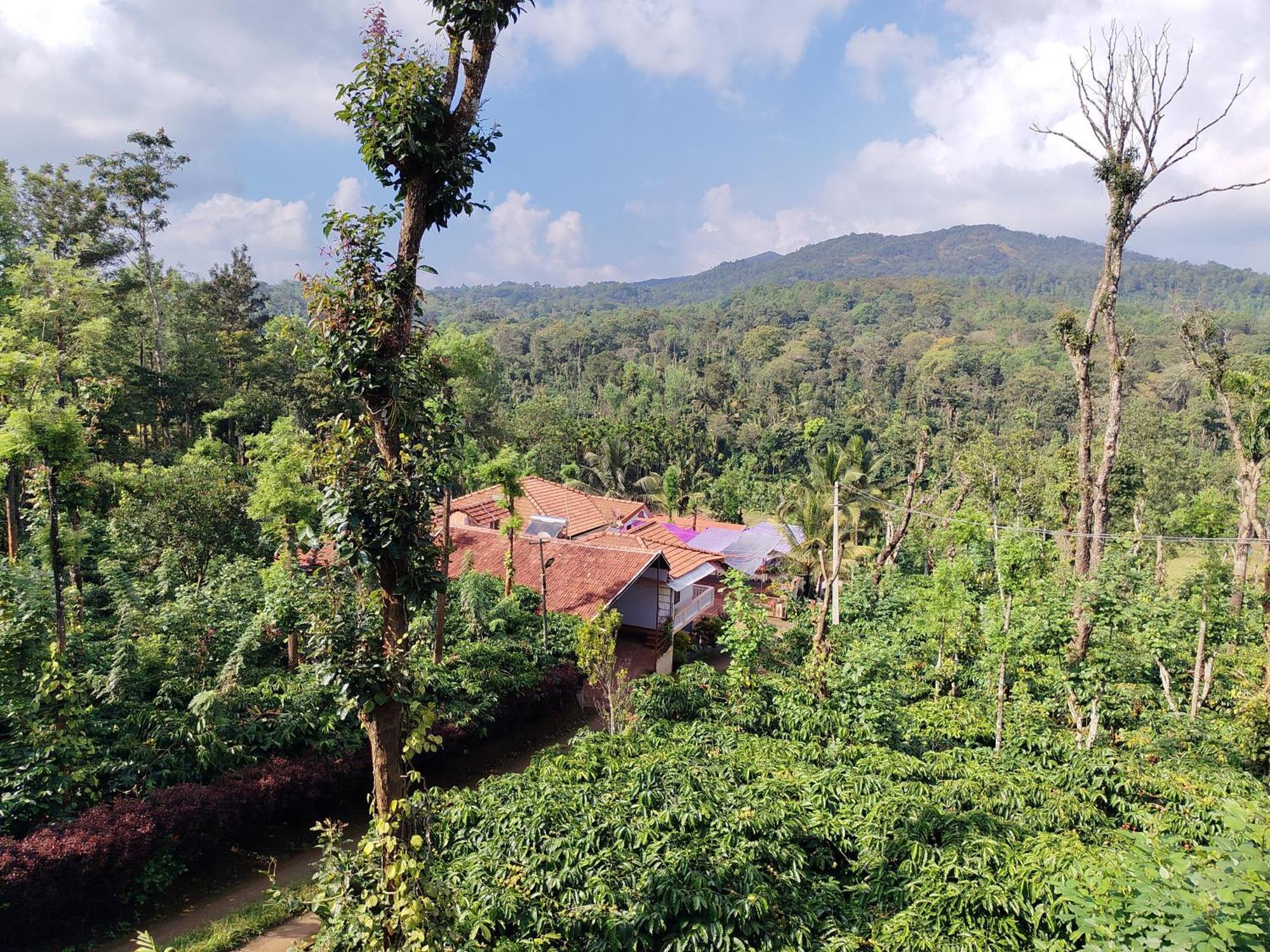 Shivalaya Homestay, Madikeri Siddāpur 外观 照片