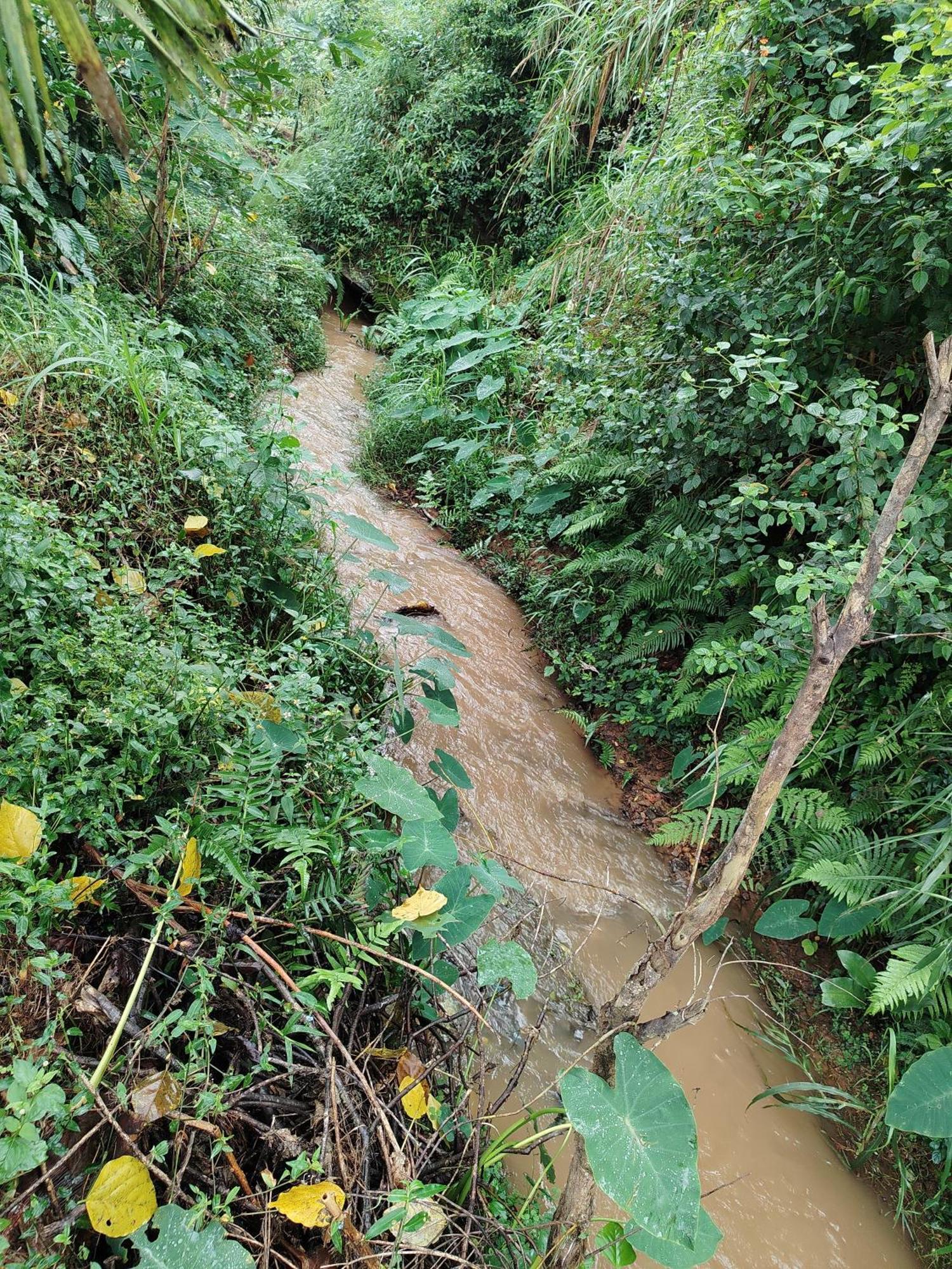 Shivalaya Homestay, Madikeri Siddāpur 外观 照片