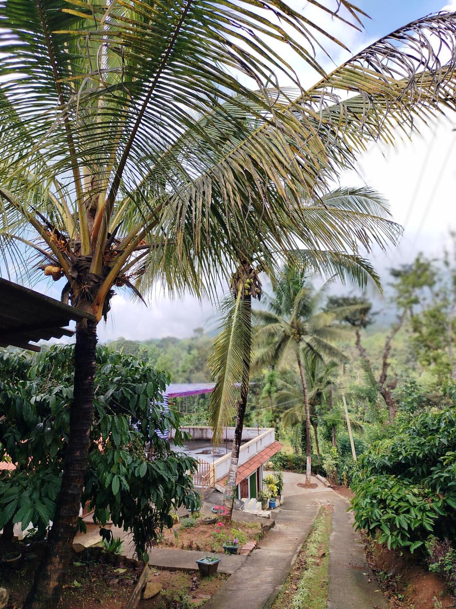 Shivalaya Homestay, Madikeri Siddāpur 外观 照片